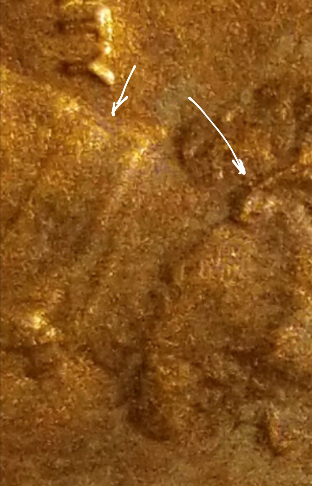 1982-D-Lincoln-Memorial-Cent-DDO?